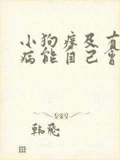 小狗痒及有皮肤病能自己会好吗?