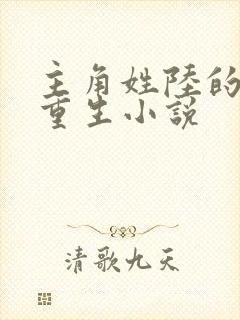 主角姓陆的都市重生小说