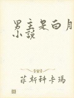 男主是白月光的小说