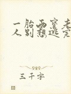 一胎两宝老婆大人别想逃完整版免费阅读