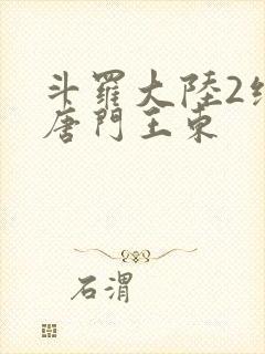 斗罗大陆2绝世唐门王东