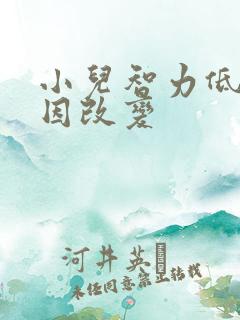 小儿智力低的原因改变