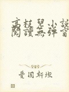 高枝儿小说免费阅读无弹窗