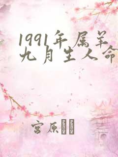 1991年属羊九月生人命运