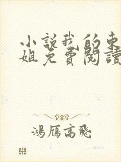 小说我的东莞姐姐免费阅读