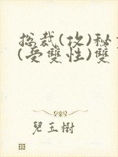 总裁(攻)秘书(受双性)双男