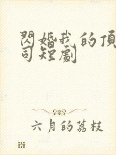 闪婚我的顶头上司短剧