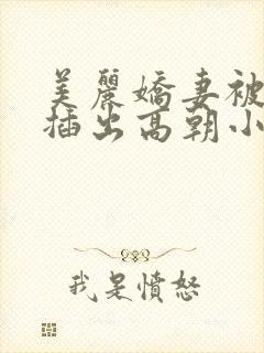 美丽娇妻被猛男插出高朝小说