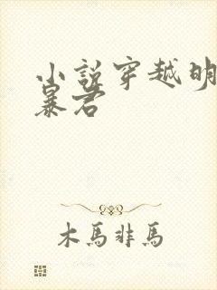 小说穿越明朝当暴君