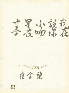 寸星小说我将在今夜吻你在线阅读