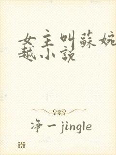 女主叫苏婉的穿越小说