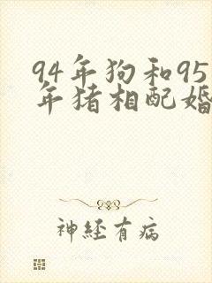 94年狗和95年猪相配婚姻如何