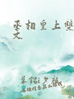 丞相皇上双男主文