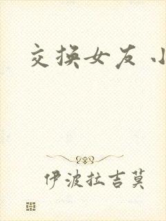 交换女友 小说