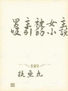 男主被女主深深吸引的小说