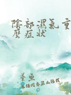 阴部湿气重是什么症状