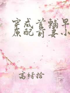 穿成首辅早逝的原配前妻小说