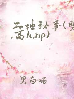 工地秘事(双性,高h,np)