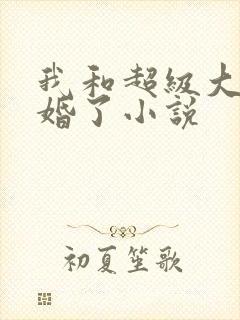 我和超级大佬隐婚了小说