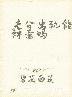 老公出轨能回心转意吗