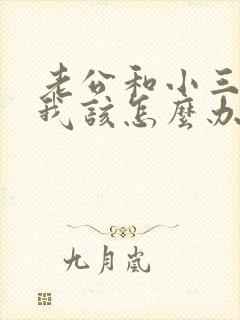 老公和小三同居我该怎么办