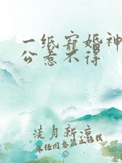 一纸宠婚神秘老公惹不得