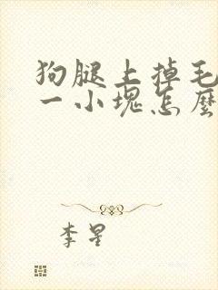 狗腿上掉毛秃了一小块怎么办