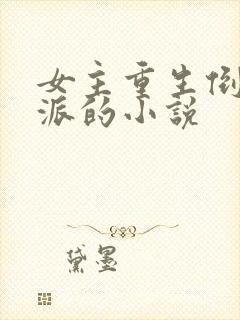 女主重生倒追反派的小说