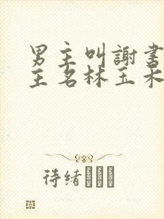 男主叫谢书淮女主名林玉禾的小说