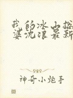 我的冰山总裁老婆沈浪最新章节