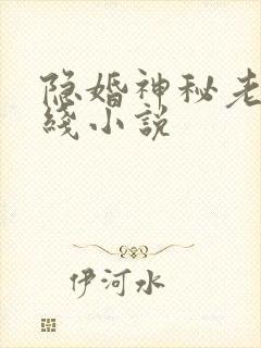 隐婚神秘老公在线小说
