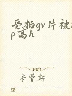 受拍gv片被np高h