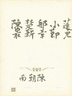 陈楚那小莲小说最新章节免费阅读