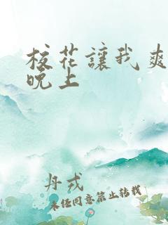 校花让我爽了一晚上