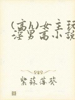 (高h)女主玩淫男高小说