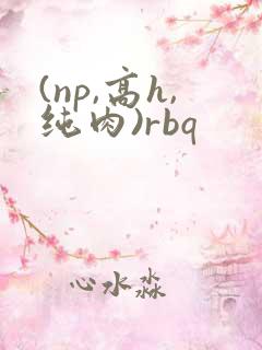 (np,高h,纯肉)rbq