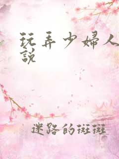 玩弄少妇人妻小说