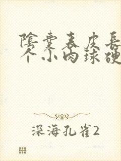 阴囊表皮长了一个小肉球硬硬的