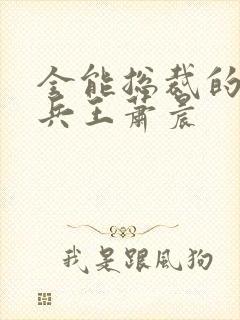 全能总裁的全能兵王萧晨