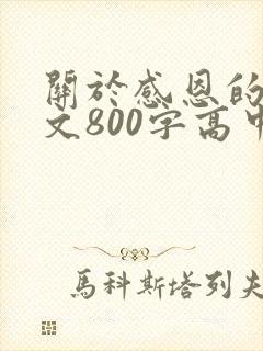 关于感恩的议论文800字高中