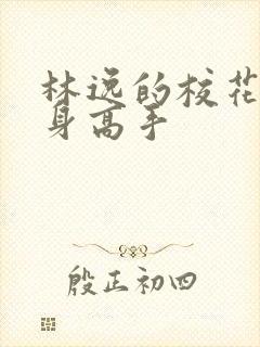 林逸的校花的贴身高手