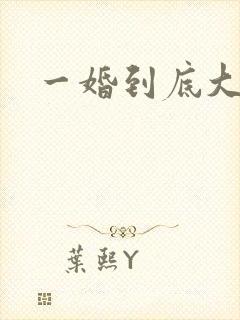 一婚到底大结局