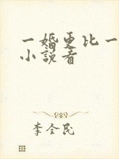 一婚更比一婚高小说看