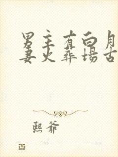 男主有白月光追妻火葬场古言