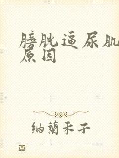 膀胱逼尿肌无力原因