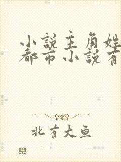 小说主角姓叶的都市小说有哪些