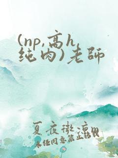 (np,高h,纯肉)老师