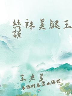 丝袜美腿玉足小说