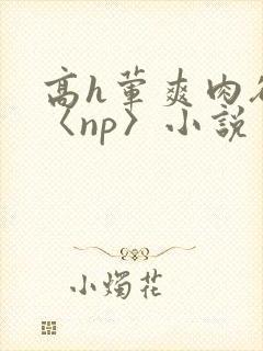 高h荤爽肉欲文〈np〉小说