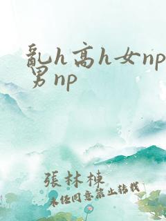 乱h高h女np男np